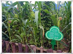 鸿运国际·(中国)集团-最新鸿运官网接待你