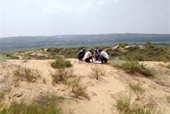 201808060943120119_248x166