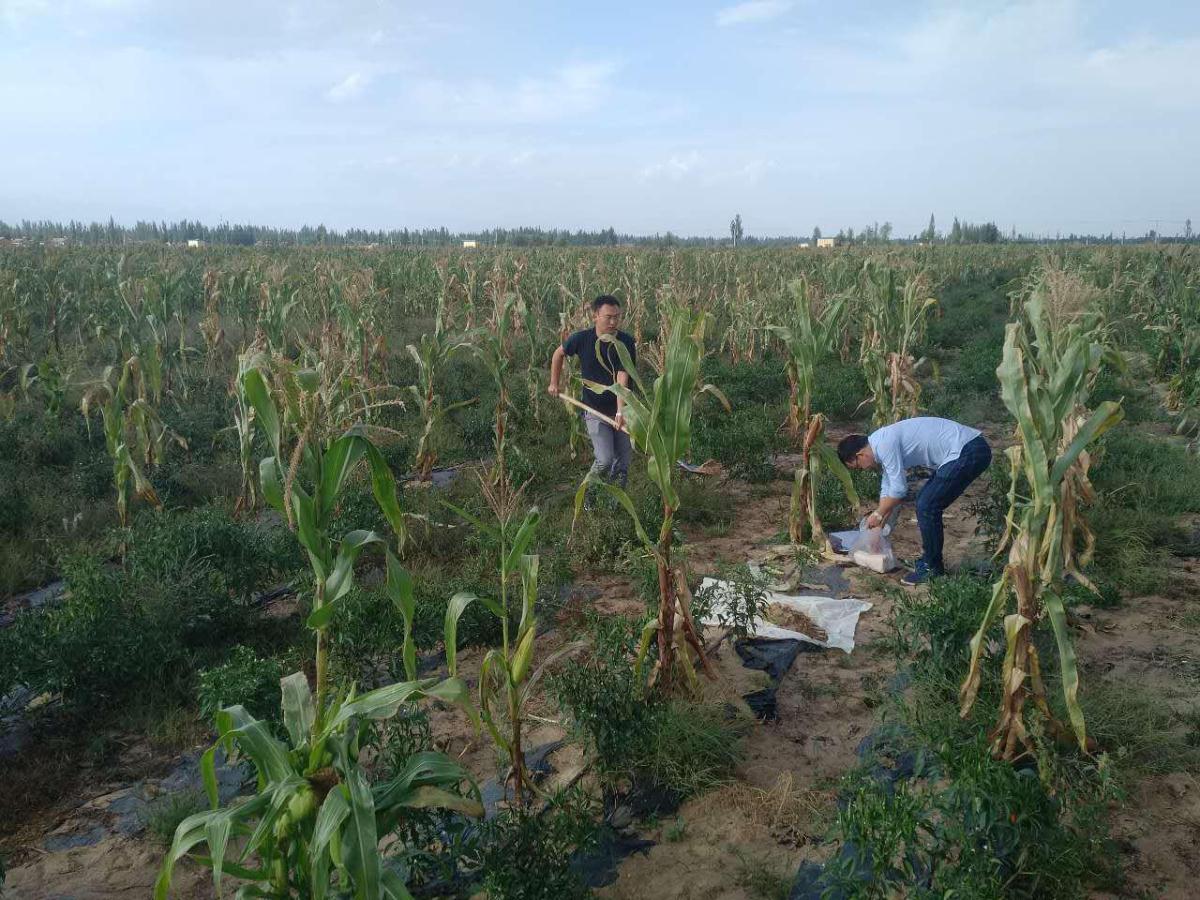 鸿运国际·(中国)集团-最新鸿运官网接待你