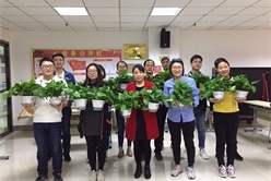 201904031352281652_248x166