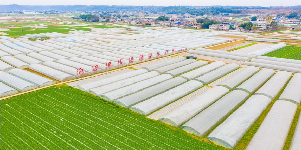 鸿运国际·(中国)集团-最新鸿运官网接待你