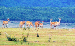 鸿运国际·(中国)集团-最新鸿运官网接待你