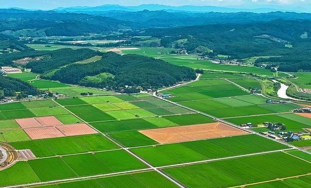 鸿运国际·(中国)集团-最新鸿运官网接待你