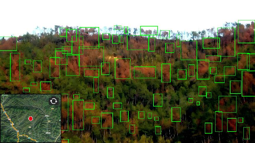 鸿运国际·(中国)集团-最新鸿运官网接待你