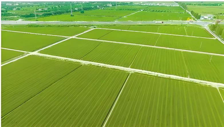 鸿运国际·(中国)集团-最新鸿运官网接待你