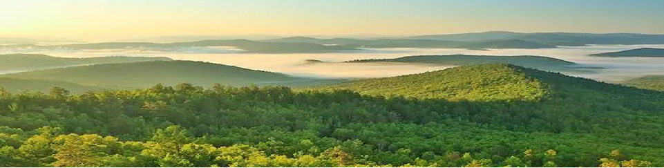 鸿运国际·(中国)集团-最新鸿运官网接待你